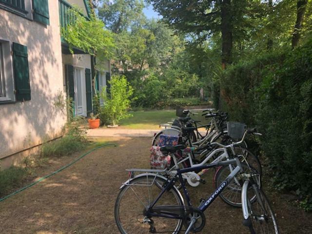 Les Hibiscus Acomodação com café da manhã Maisons-Laffitte Exterior foto